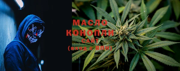 индика Аркадак