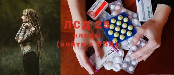 индика Аркадак