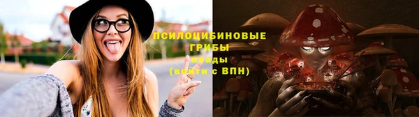 индика Аркадак