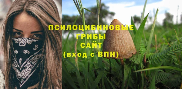 индика Аркадак
