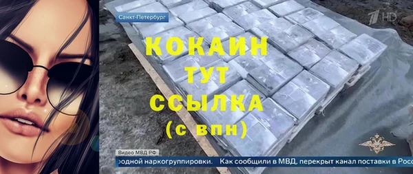 индика Аркадак