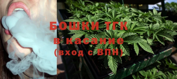индика Аркадак