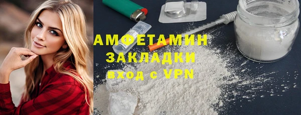 индика Аркадак