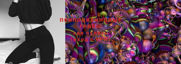 индика Аркадак