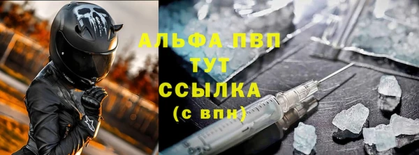 индика Аркадак