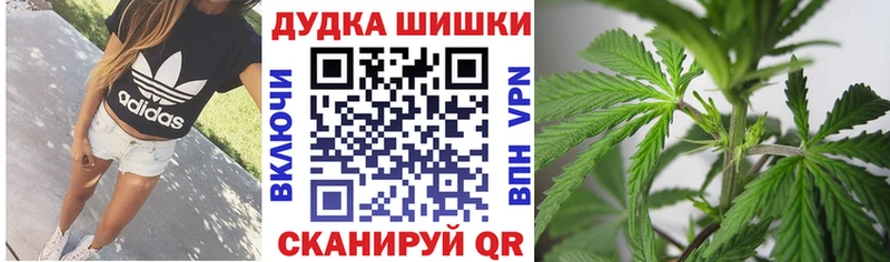 сколько стоит  Калининец  Шишки марихуана гибрид 